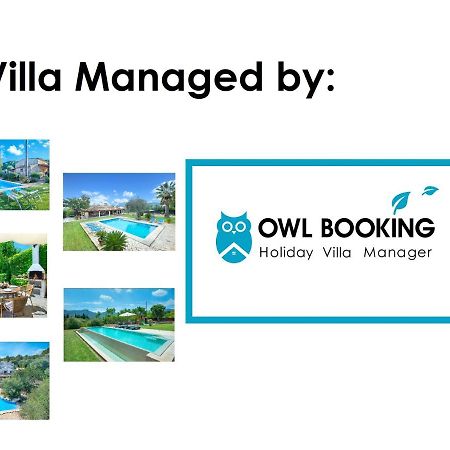 Owl Booking Villa March - 10 Min Walk To The Old Town Pollença Exteriör bild